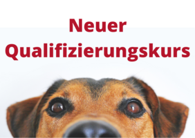 Hundegesicht und Schriftzug "Neuer Qualifizierungskurs"
